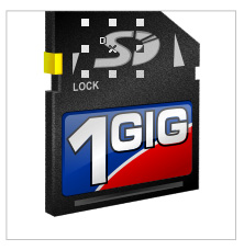 (Icon-a-Day) SD Card *