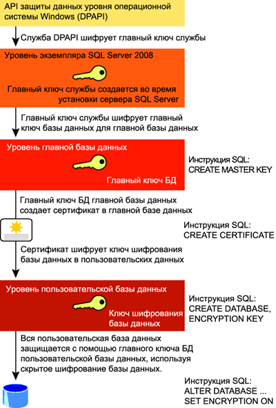   SQL Server 2008 - MS SQL Server -   - , ,  