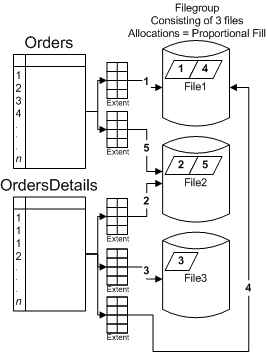     SQL Server 2005 - MS SQL Server -   - , ,  