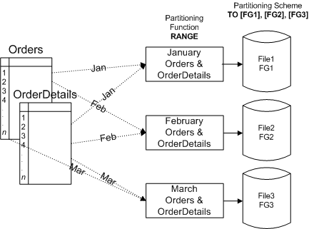     SQL Server 2005 - MS SQL Server -   - , ,  