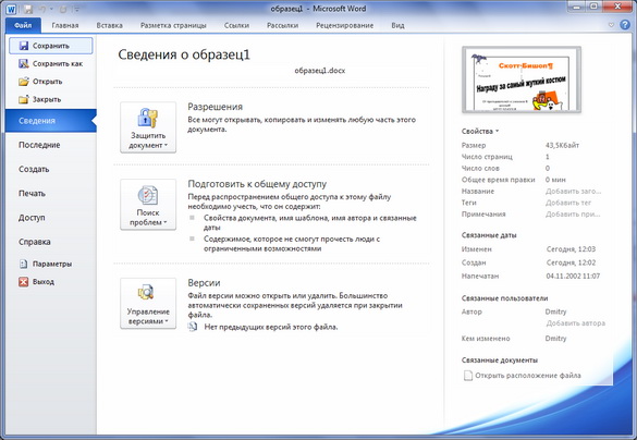 Microsoft Office 2010