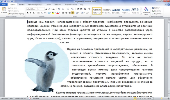 Microsoft Office 2010