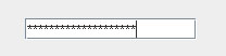 JPasswordField