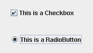 JCheckBox/JRadioButton