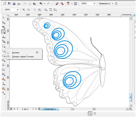   Corel Draw