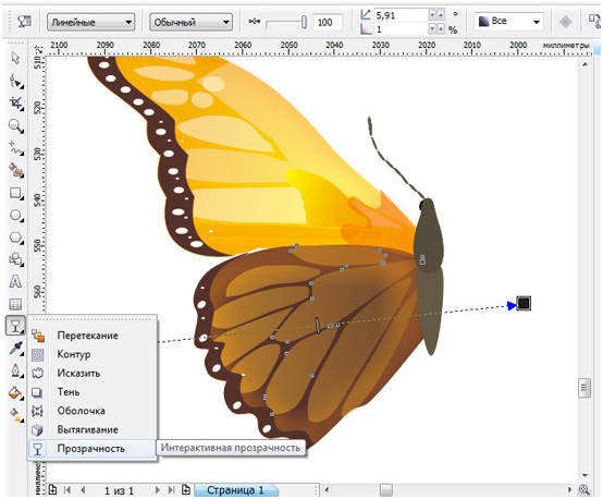   Corel Draw