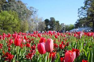   Floriade 2002