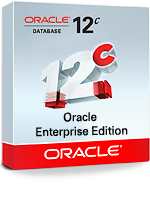 Oracle Database Enterprise Edition