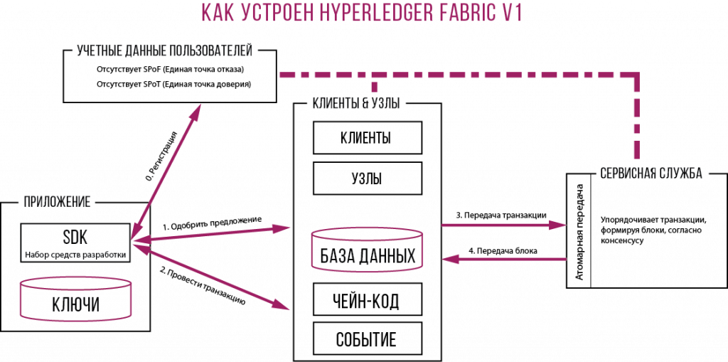 Hyperledger Fabric 