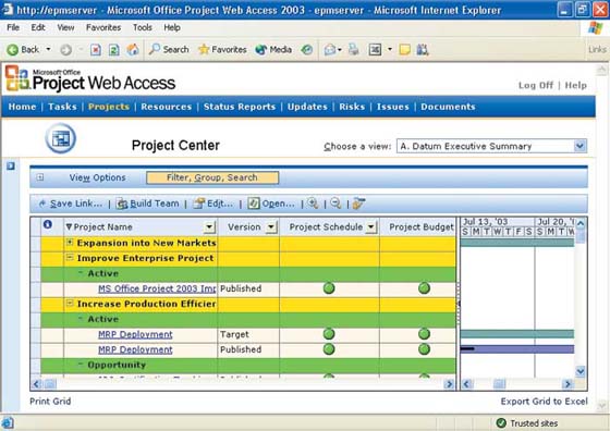 Microsoft Project Web Access