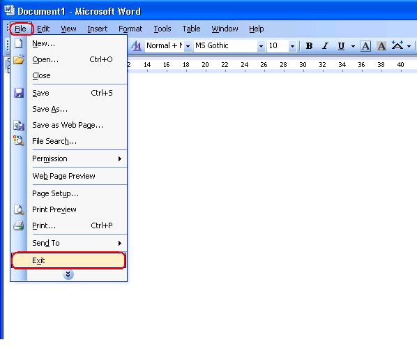 Microsoft Word