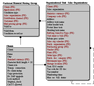 SAP R/3 Logical Model in ERwin